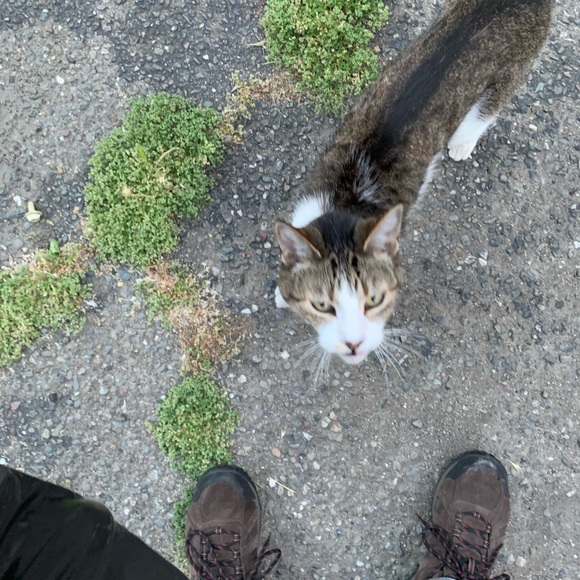 Meet your Posher, Thomas - Picture 16 of 16